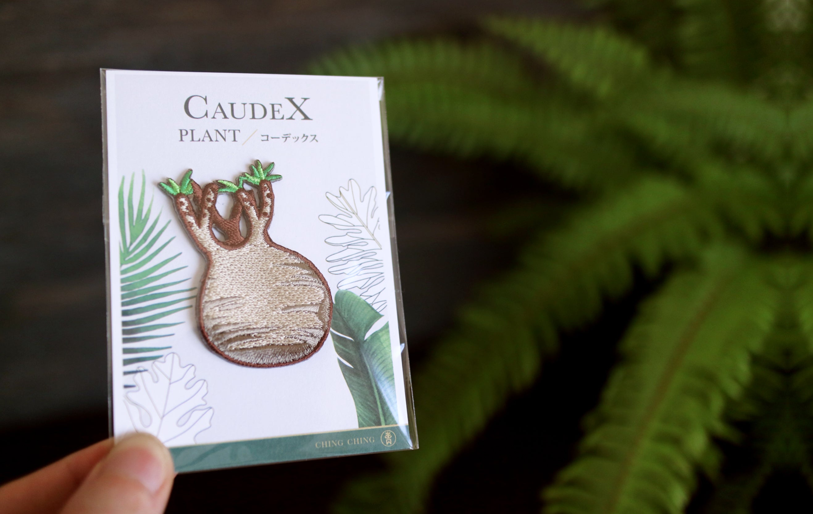 Caudex Embroidered Patches with Pin Backs