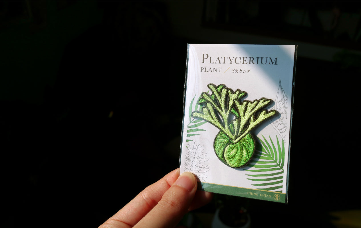 Platycerium Embroidered Patches with Pin Backs
