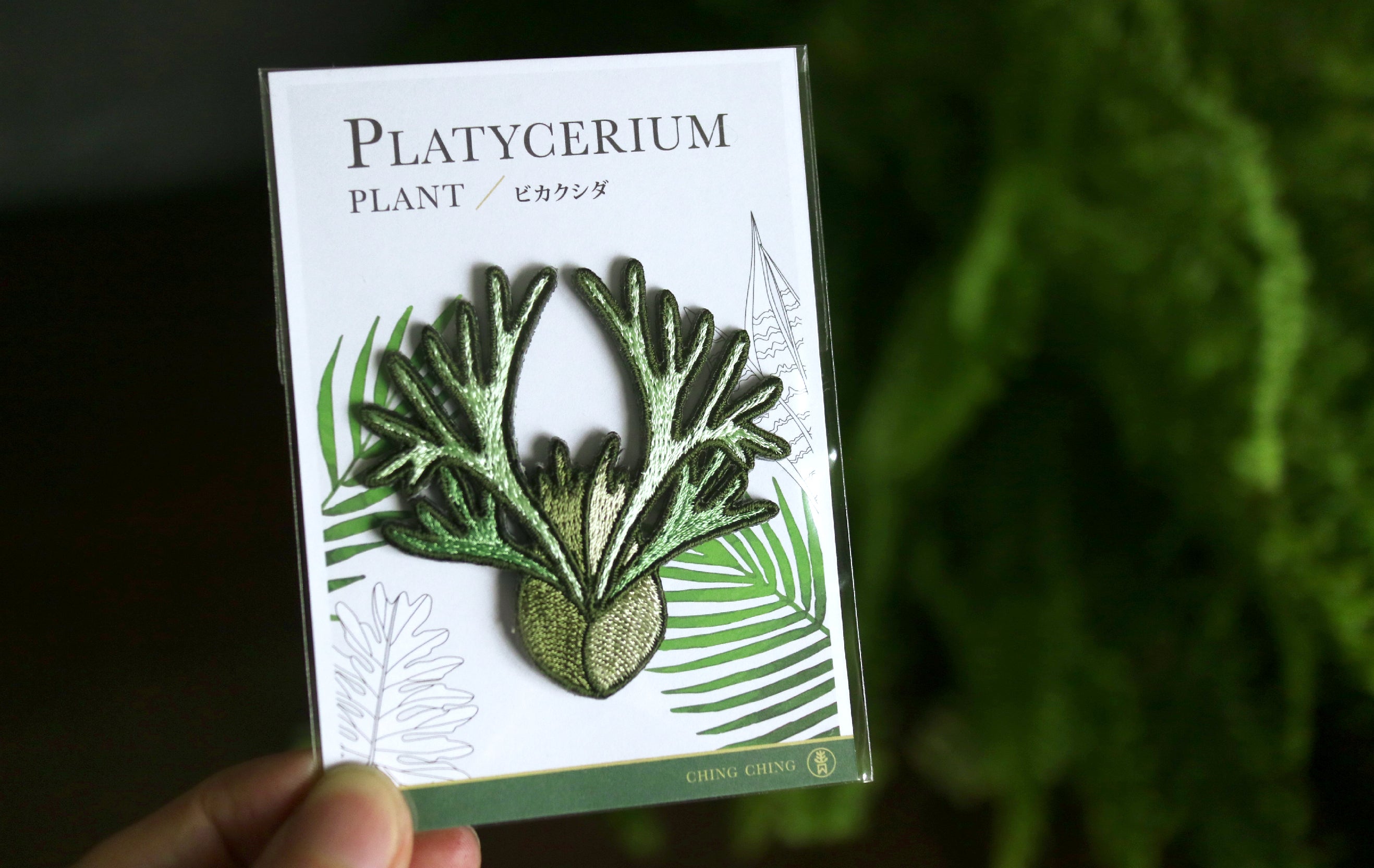Platycerium Embroidered Patches with Pin Backs