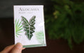 Alocasia Embroidered Patches with Pin Backs