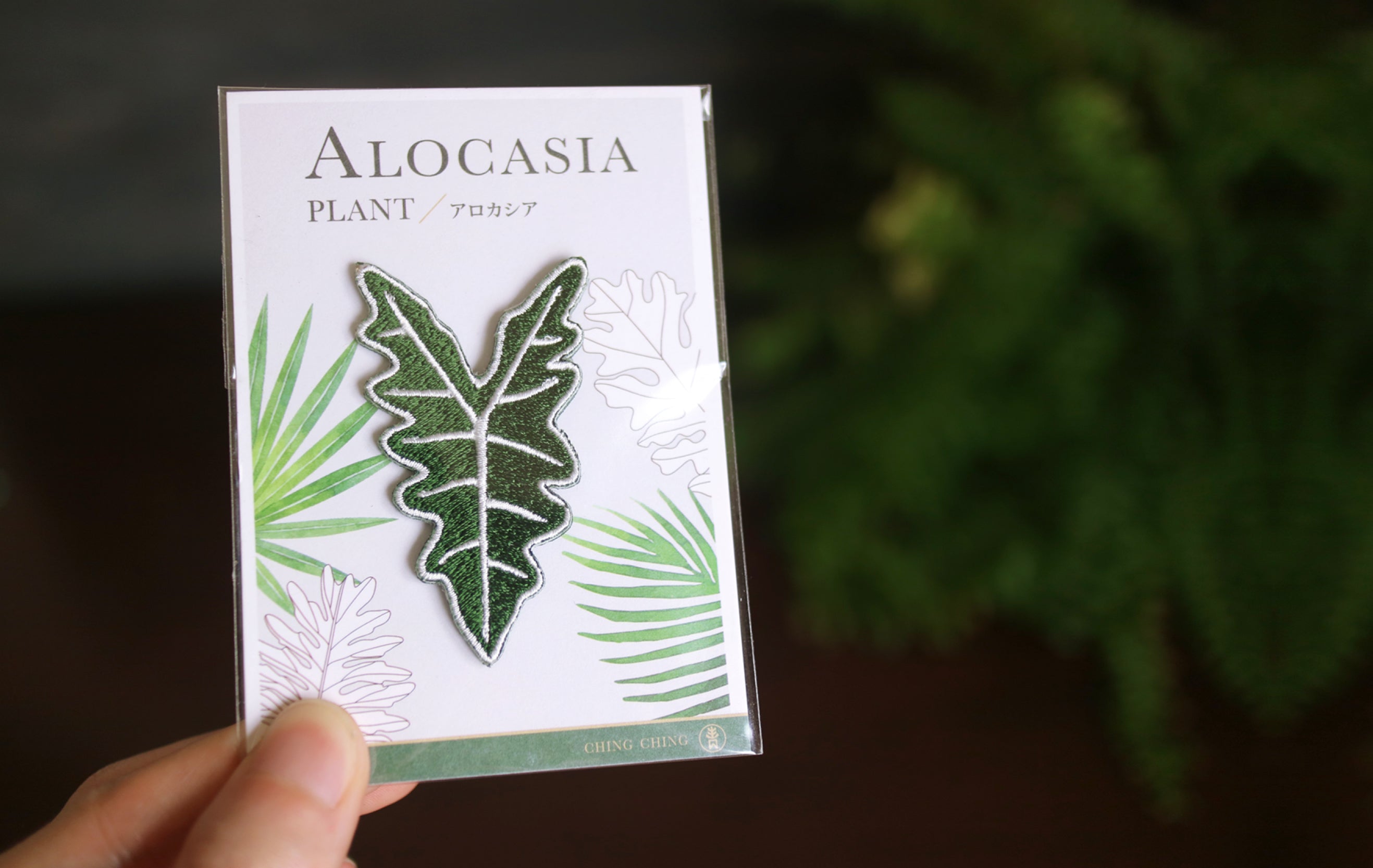 Alocasia Embroidered Patches with Pin Backs
