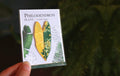 Philodendron Embroidered Patches with Pin Backs