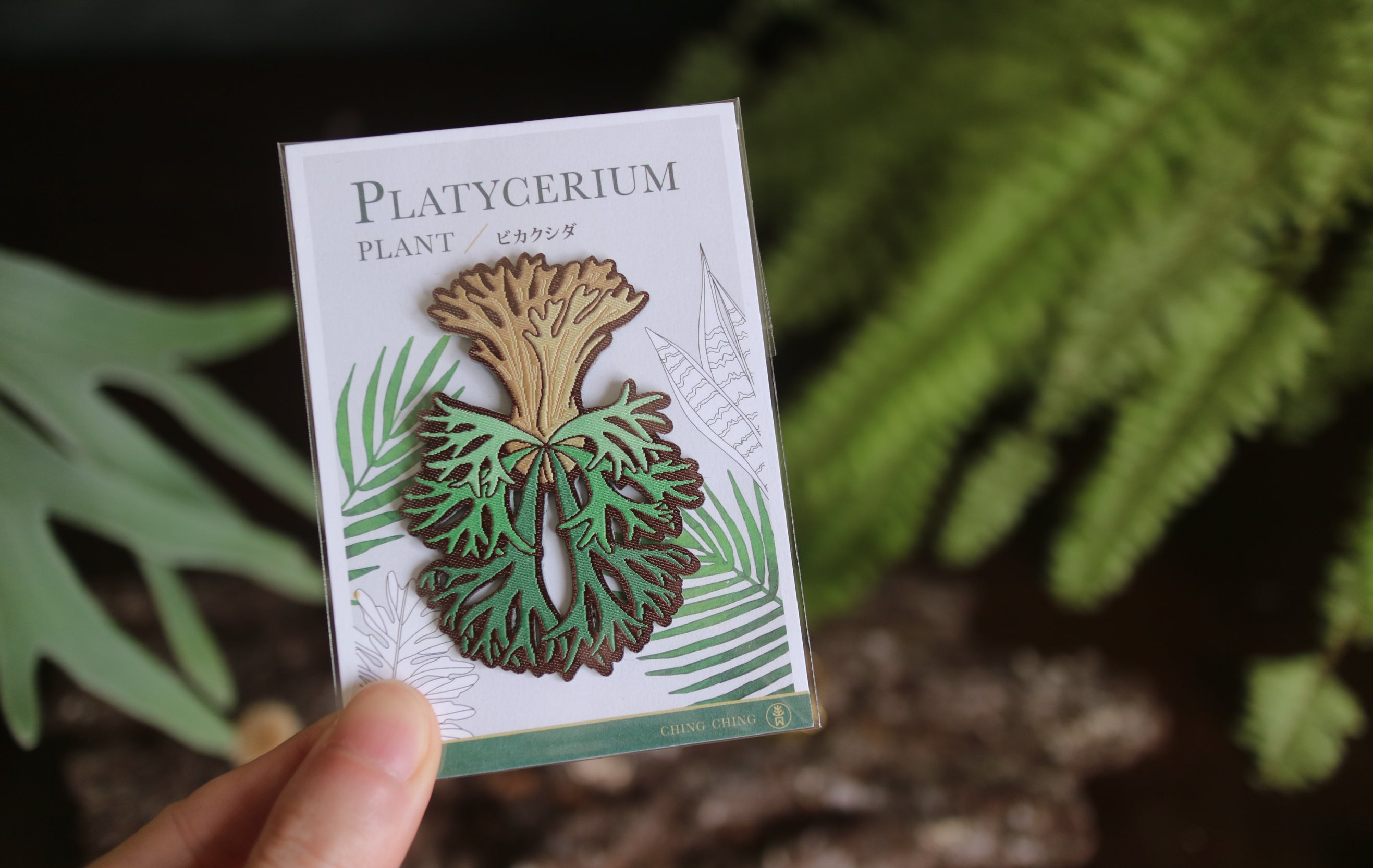 Platycerium Embroidered Patches with Pin Backs
