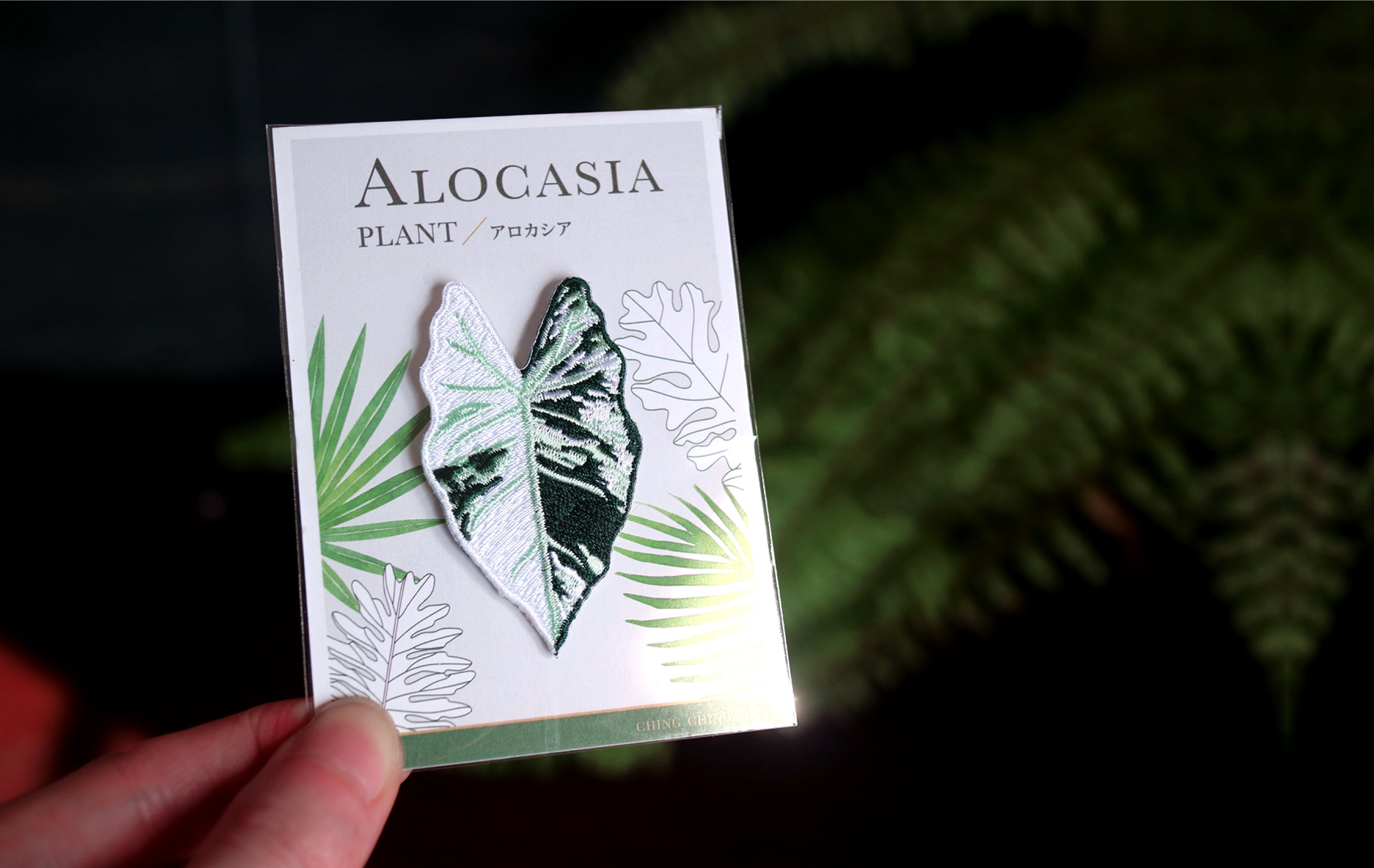 Alocasia Embroidered Patches with Pin Backs