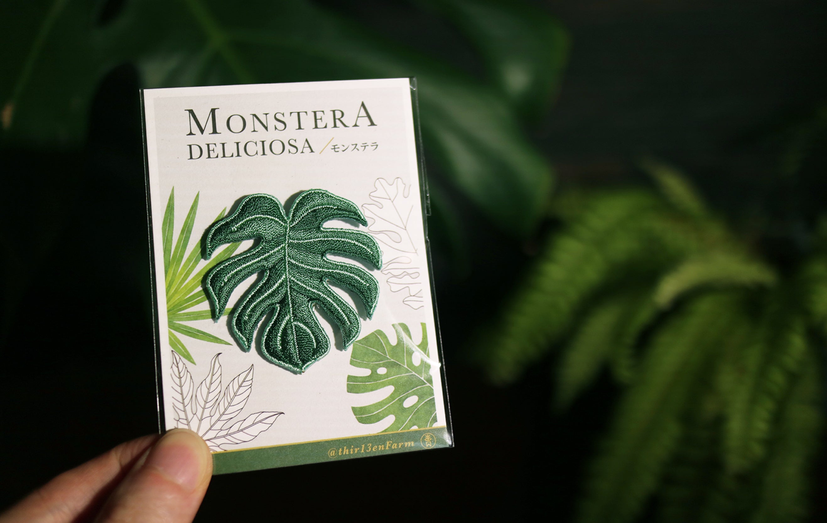 Monstera Embroidered Patches with Pin Backs