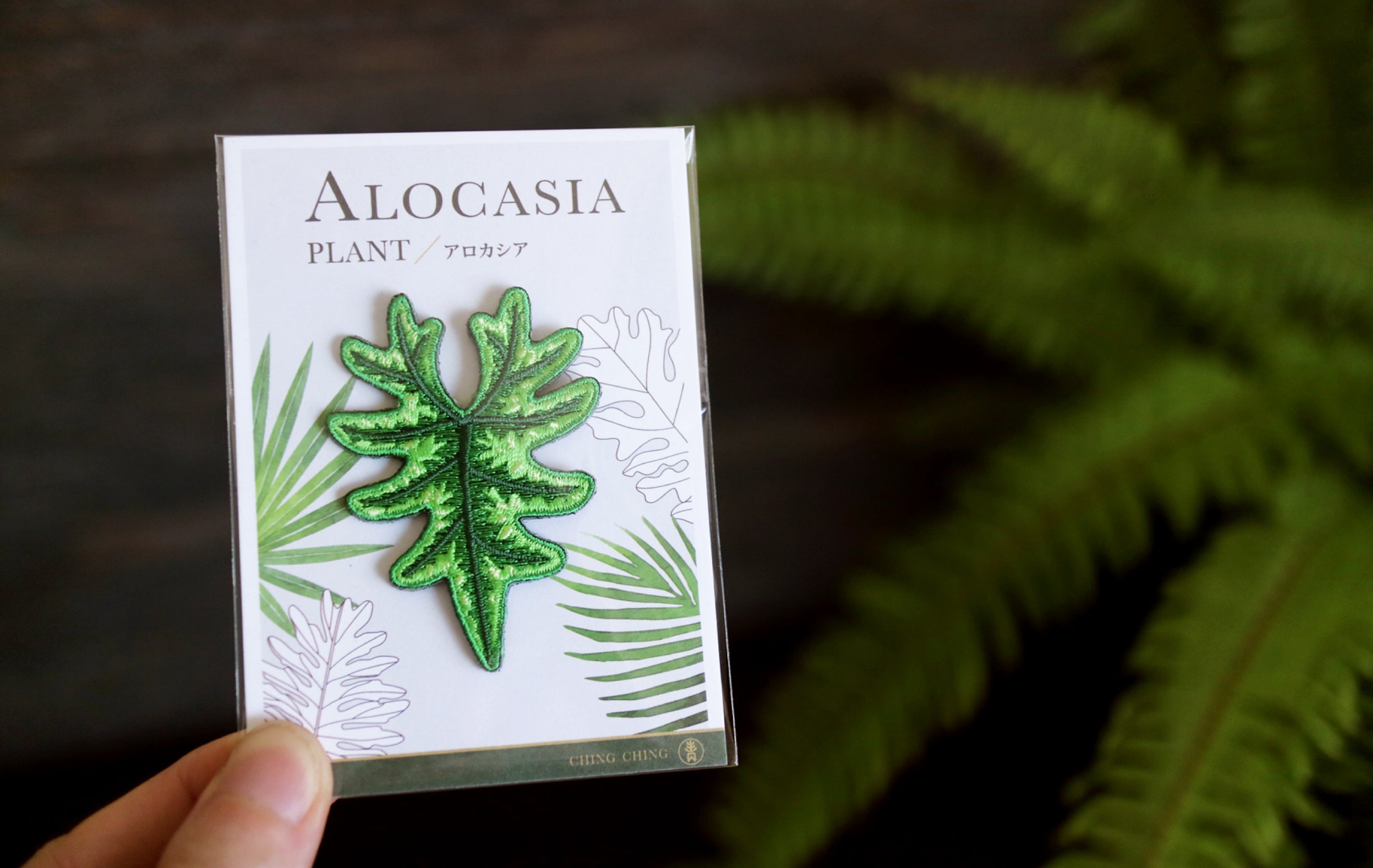 Alocasia Embroidered Patches with Pin Backs