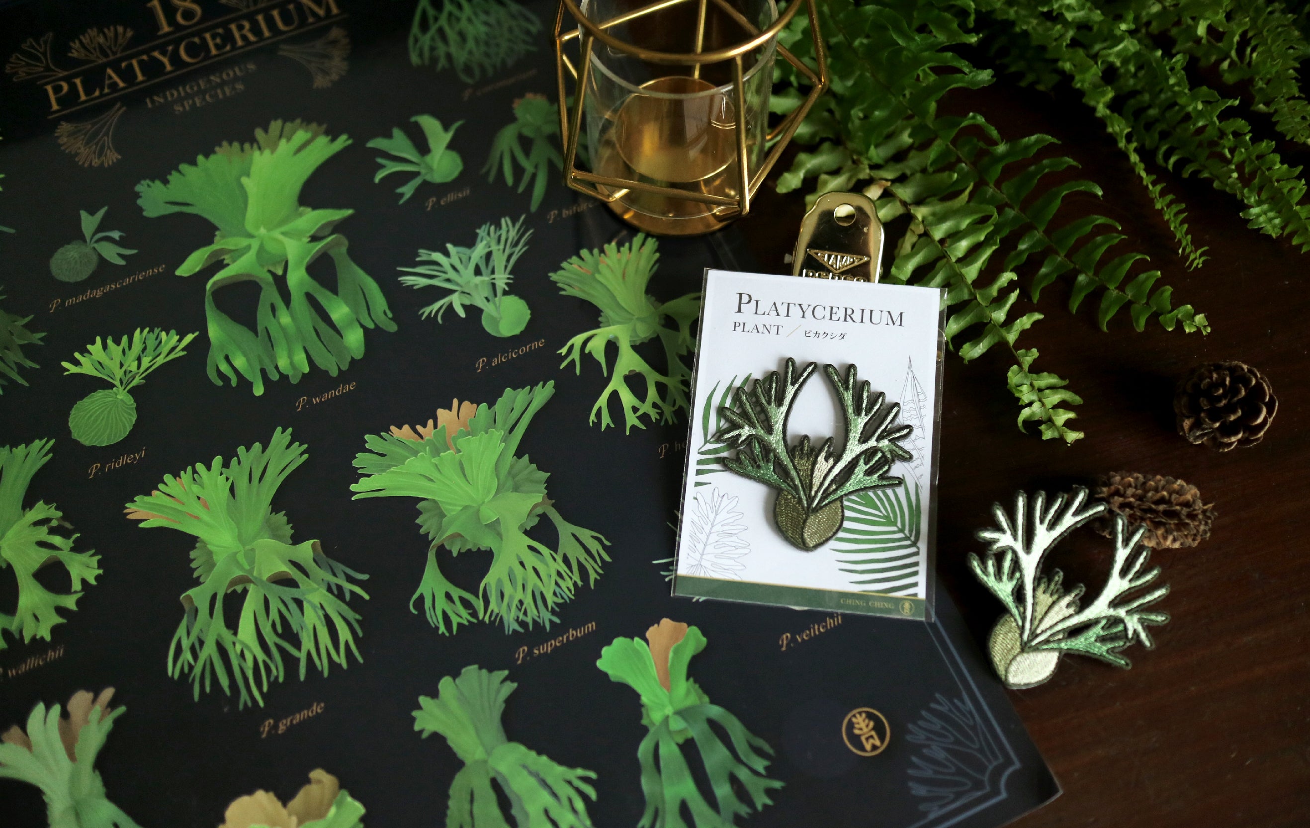 Platycerium Embroidered Patches with Pin Backs