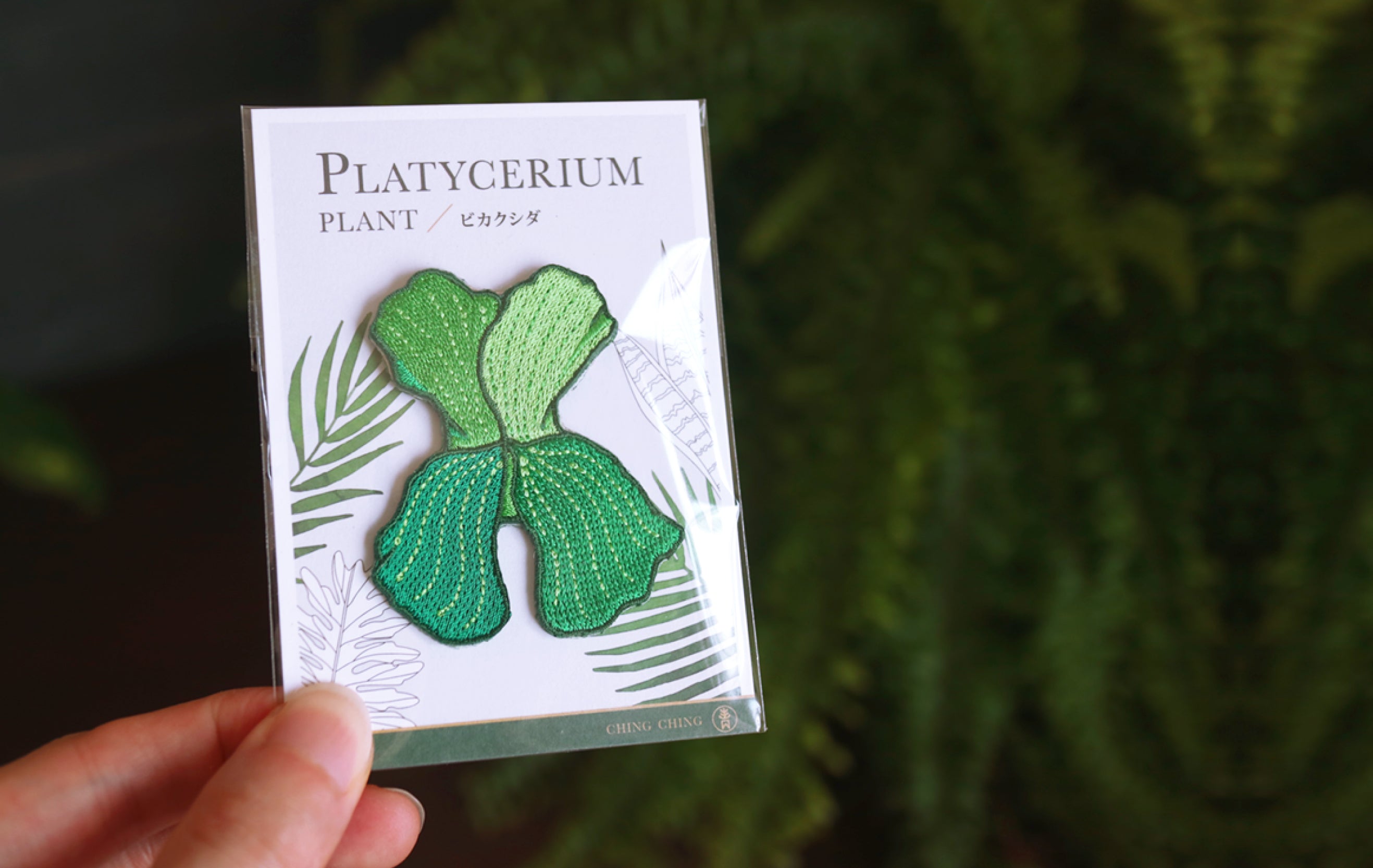 Platycerium Embroidered Patches with Pin Backs