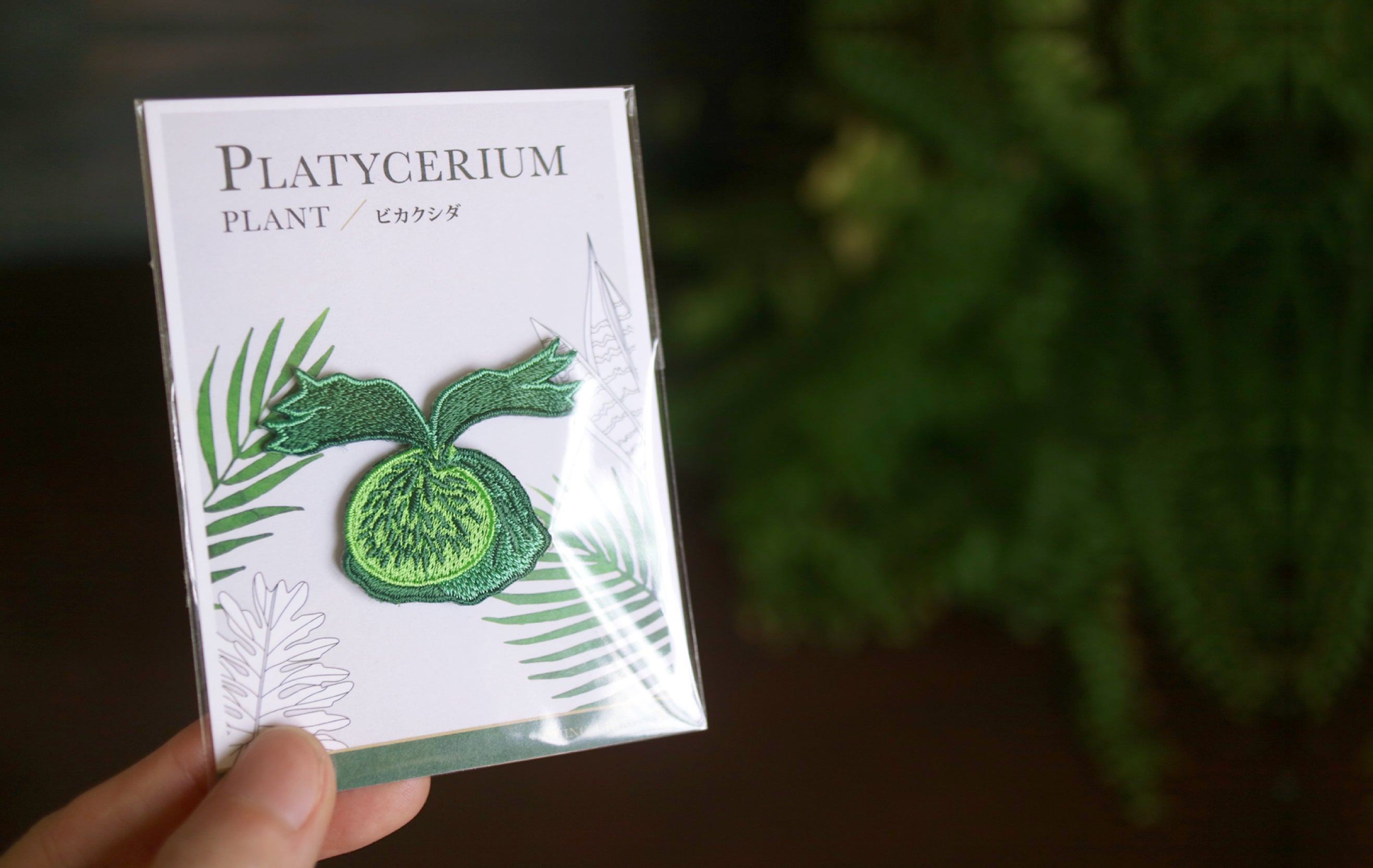 Platycerium Embroidered Patches with Pin Backs