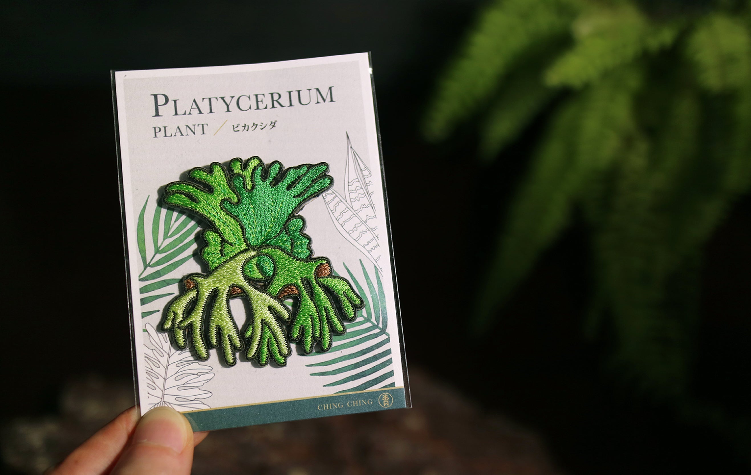 Platycerium Embroidered Patches with Pin Backs