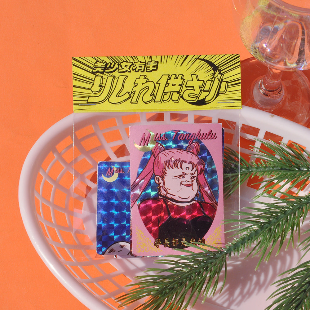 Shiny Pretty Girl Sticker Set (6 Pieces)