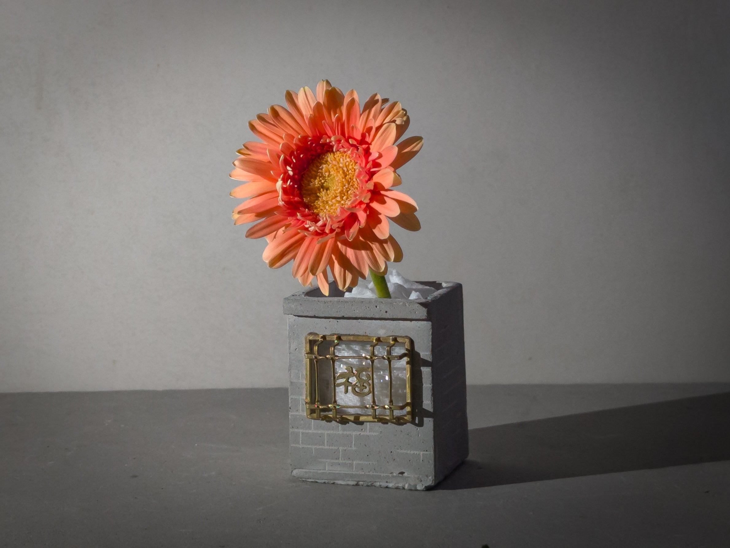 Iron Window Grating Concrete Planter