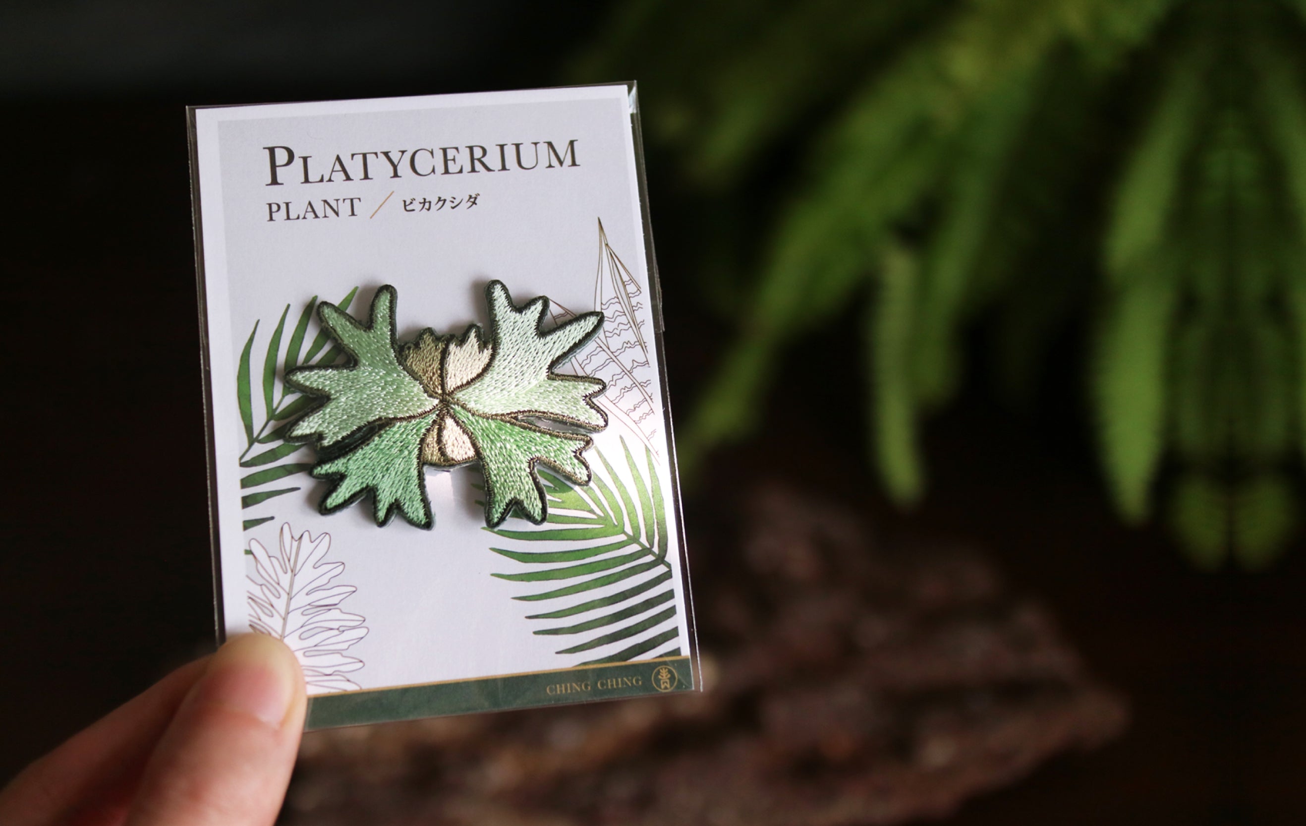 Platycerium Embroidered Patches with Pin Backs